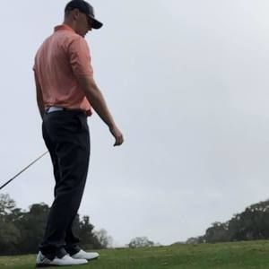 Meet your Posher, George